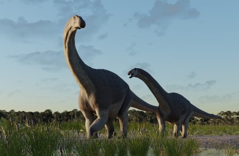 Hallazgo en Patagonia revela nuevo Titanosaurio: El «Titanomachya Gimenezi» del cretácico