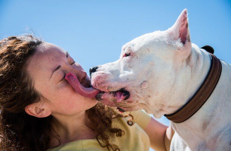 Cariño con precaución: Las enfermedades que tu perro podría transmitirte con un simple lamido