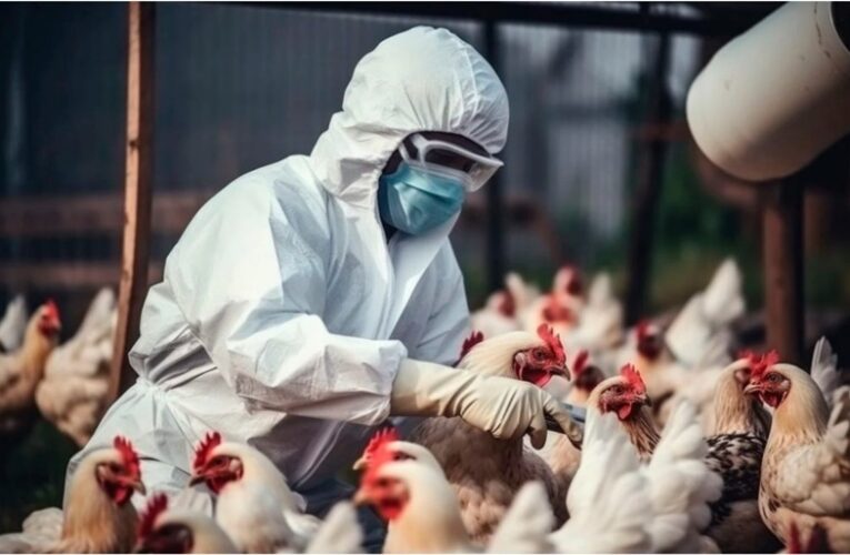 OMS: Primera muerte por gripe aviar en México, alerta máxima