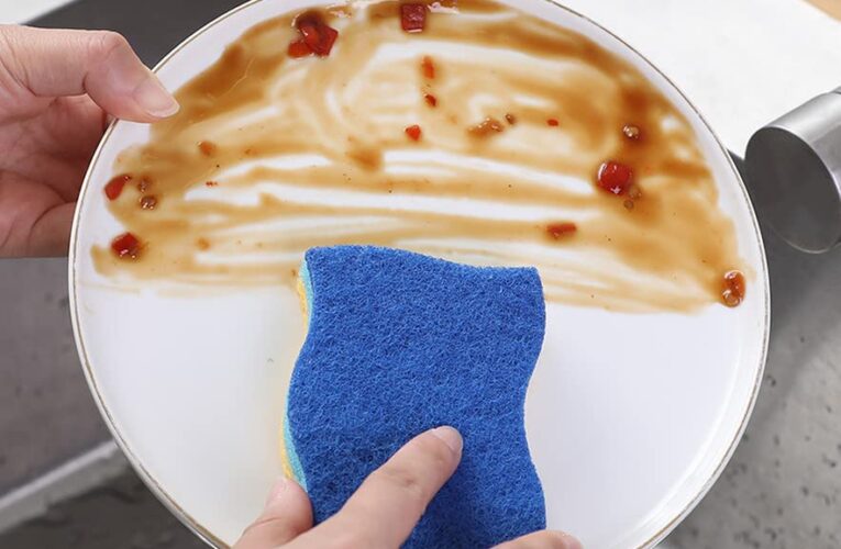 La verdad oculta en tu cocina: ¿Cada cuánto debes cambiar la esponja de lavar platos?