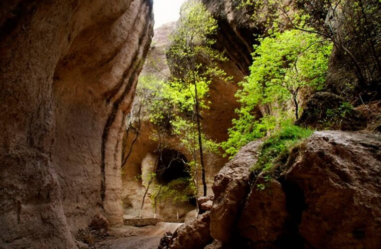 Explora el Cañón de Namúrachi: Un oasis de aventura y belleza en Chihuahua